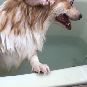 こんにちはの画像