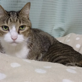 ☆動画なのに。。。☆の画像