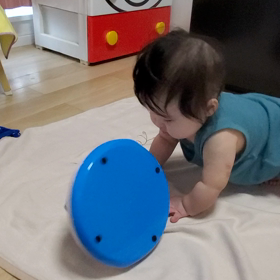 ネコのおもちゃで遊べの画像