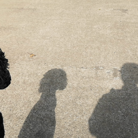 リードと指示の断捨離の画像