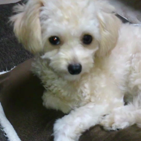 おやすみ前に動画とった～の画像