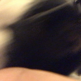 素直っていいよねの画像