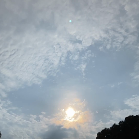 “自然と音遊び” プロジェクト vol.061！の画像