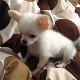 ラッキ〜の画像