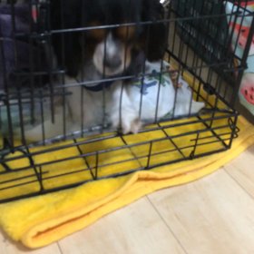 ■過去のトラウマには今夜でさようなら。■の画像