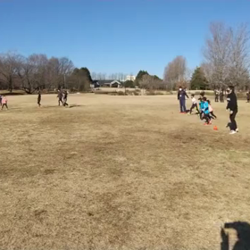 特別練習 A ドッジボール④の画像