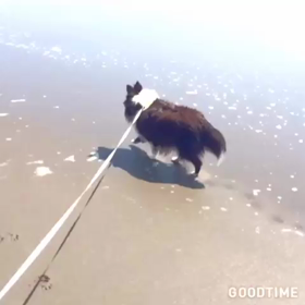 動画のせれるかなぁーの画像