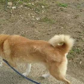 ひふみちゃん☆の画像