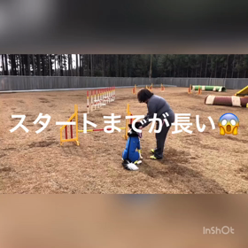 何がいけないのだろう？の画像