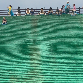 芝そりゲレンデの画像