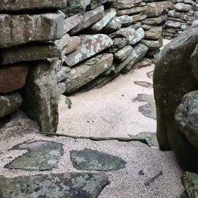 アタマで考えることと考えないことの画像