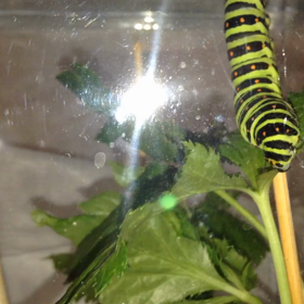 なぁーんにも考えない時間の画像