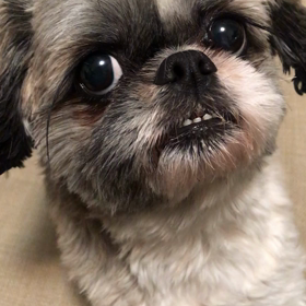 天使にリクエストを　第3話、4話、5話の画像