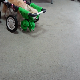 スイーピーの仲間たちの画像