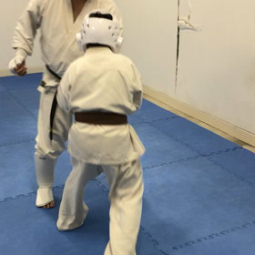 前蹴りのサバキを練習の画像