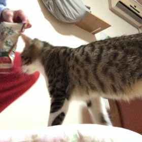 ジム通いもままならなかった旅行支援…群馬県には二度と旅行しない！の画像