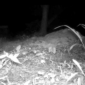 すぎぴたんの事件簿シーズン２　９話の画像