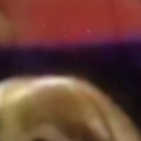 真夜中につぶやく。の画像