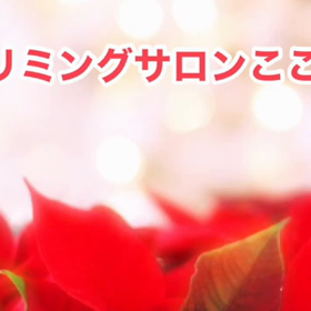 12月　〜スライドショー〜の画像