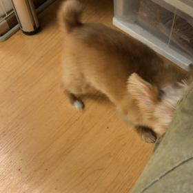 幸せだぁ〜❤️の画像