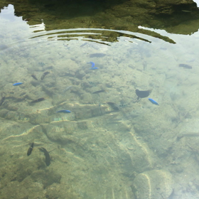 結局、最後は自分の画像