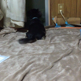 ロックオンの画像