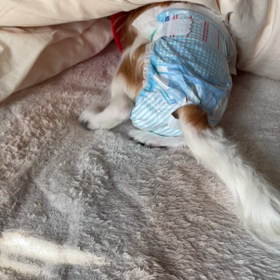 穴蔵に潜るの巻の画像