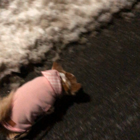 アッハハ...の画像