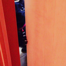 開けてよ～ここを開けてよ～の画像