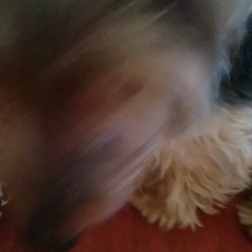 今日も元気☆の画像