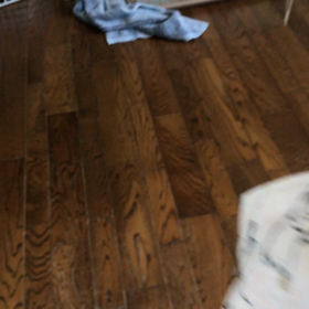 追っかけつこ動画ですの画像