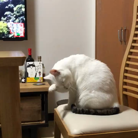 オレの   にちじょうの画像