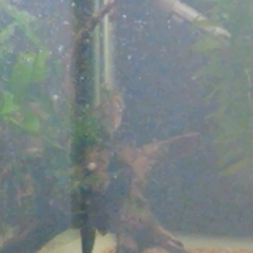 昨日の動画の画像