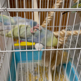 なんでかな〜？の画像