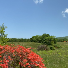 【ブログで旅気分】菅平の画像