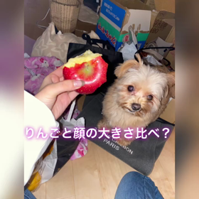 私ぽちょです❣️の画像