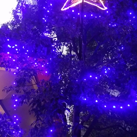 クリスマスイルミネーションの画像