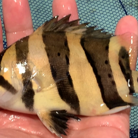 続々と売約！の画像