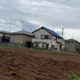 Today’s Movieの画像