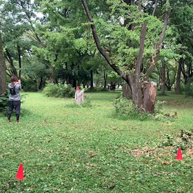 400mインターバル ⑩の画像