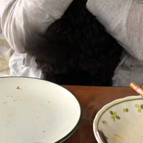 ライのしっぽの画像