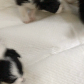 赤ちゃんの様子の画像