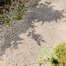 介護記録３３８（介護生活復活）の画像