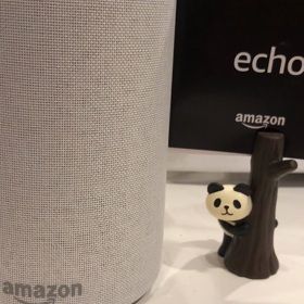 今日のアレクサの画像