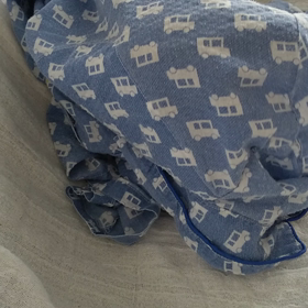 雨だけど…。の画像