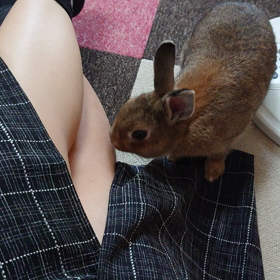 やっぱりほっくり祭り(๑°  °๑)の画像