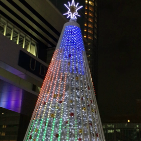 今年初の…の画像