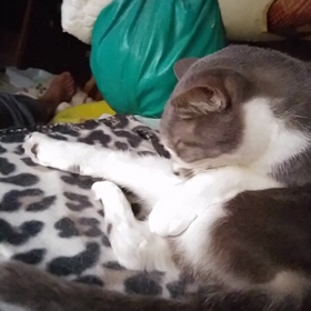 .*･ﾟキラキラ.ﾟ･*. タイムの画像