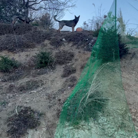 絶対にわざとである。の画像