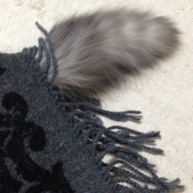 2月22日は猫の日⁈の画像